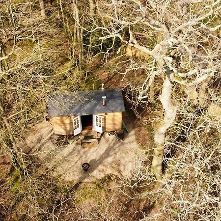 Bluebell Shepherds Hut Rolvenden Exterior photo
